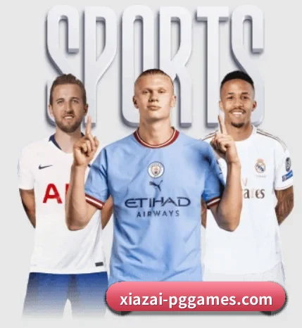 平台简介 - 体育资讯内容服务支持