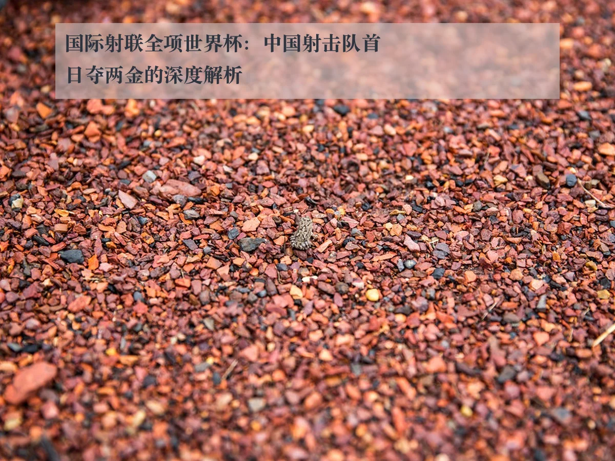 国际射联全项世界杯：中国射击队首日夺两金的深度解析